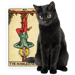 Witchy